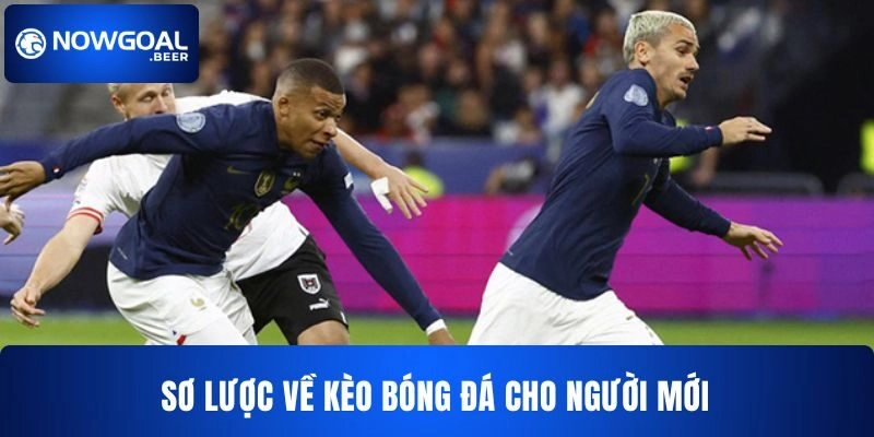 keo bong da nowgoal gioi thieu so luoc Sơ lược về kèo bóng đá NOWGOAL dành cho người mới tham gia