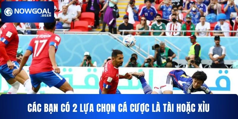 keo bong da nowgoal tai Các bạn sẽ có 2 lựa chọn cá cược là tài hoặc xỉu