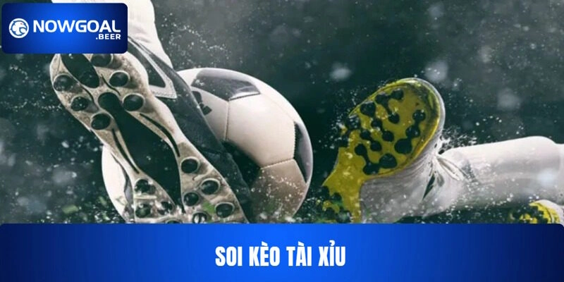 Bí quyết chọn cửa đặt tài xỉu ngon ăn