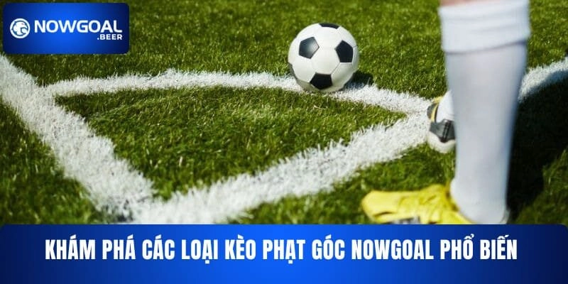 kham pha cac loai keo phat goc nowgoal pho bien Khám phá các loại kèo phạt góc NOWGOAL phổ biến